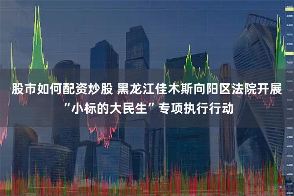 股市如何配资炒股 黑龙江佳木斯向阳区法院开展“小标的大民生”专项执行行动